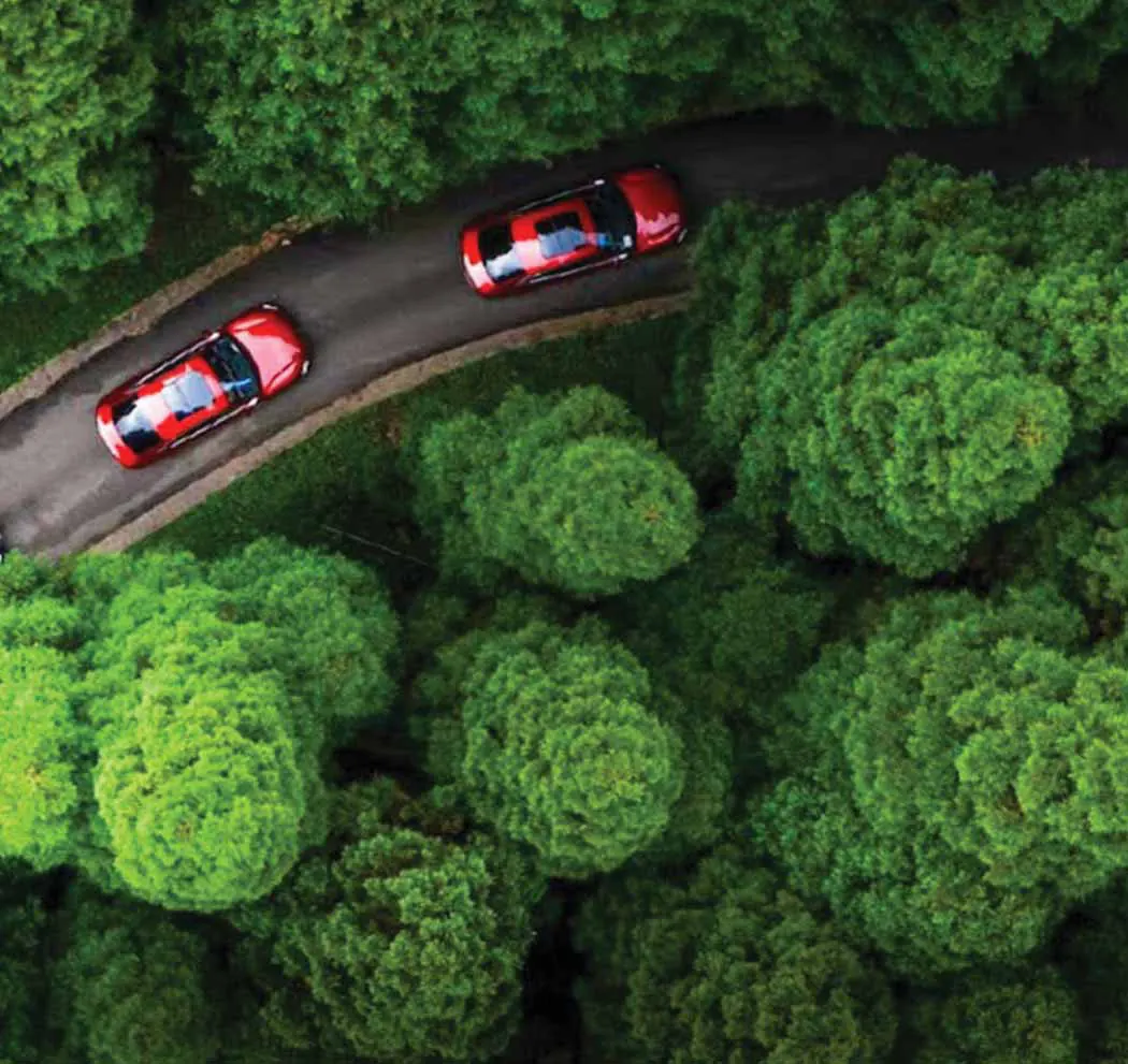 Vista aérea de dos autos rojos en una carretera entre árboles